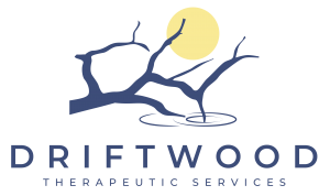 Dark blue and yellow logo